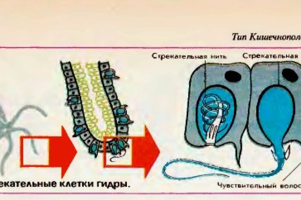 Кракен меф