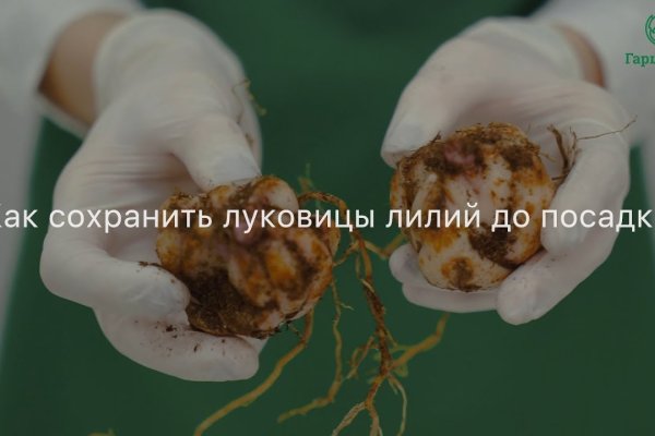 Кракен даркнет текст
