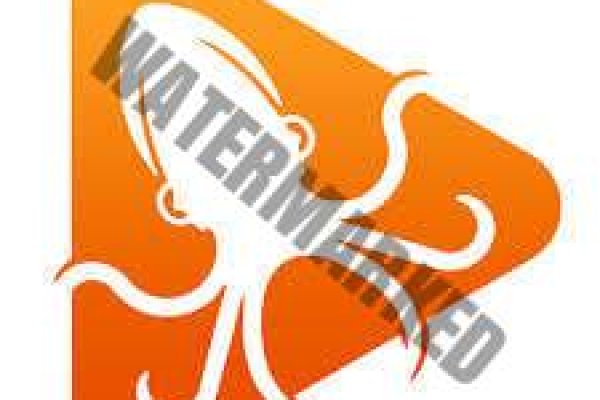 Kraken tor marketplace