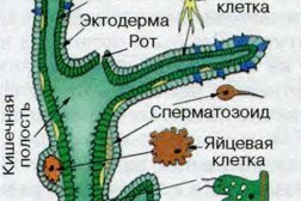 Vk8 at кракен