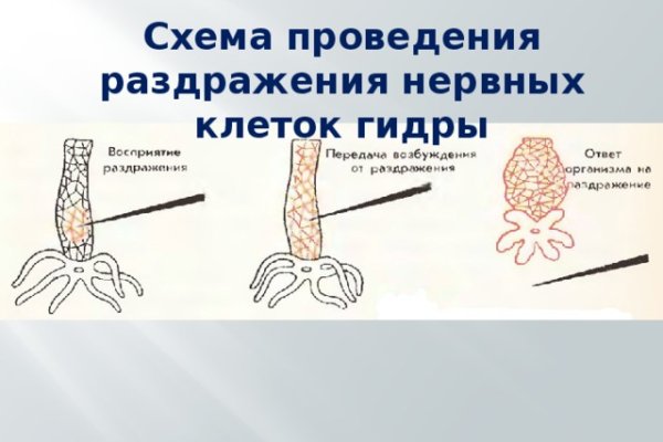 Кракен 2krnk