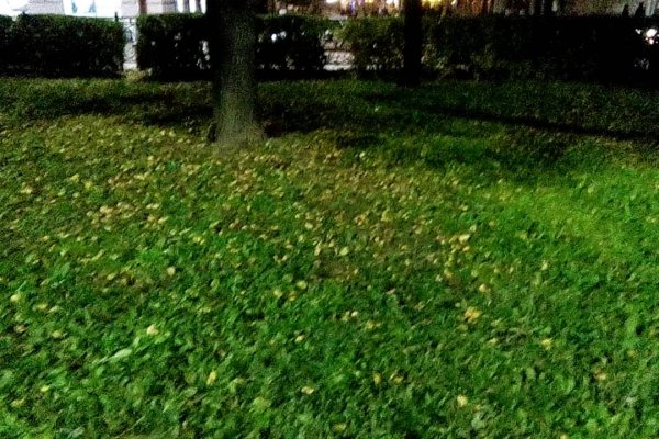 Кракен даркнет рабочая