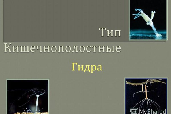 Кракен маркет свежие ссылки