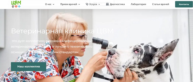 Что вместо гидры